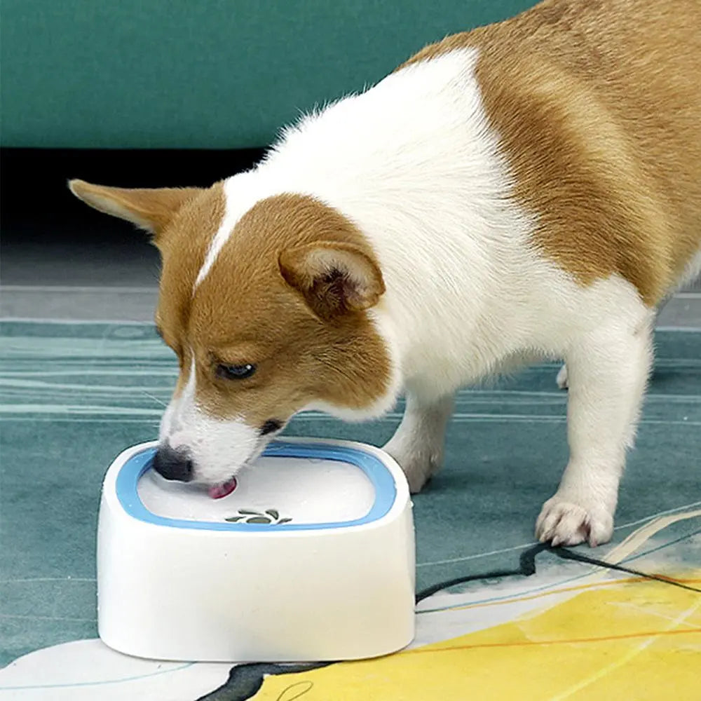 Premium No-Spill Pet Water Bowl with Slow Feeder Design for Dogs and Cats