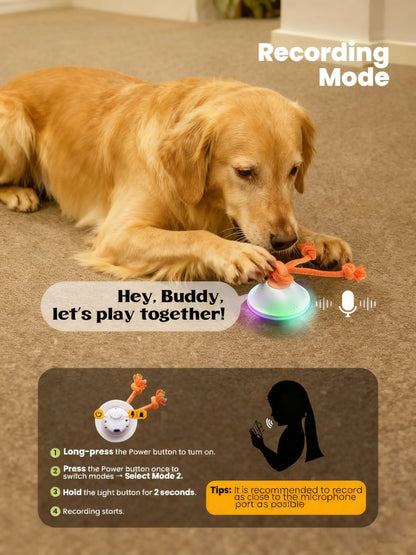 Interactive Automatic Rolling Toy Ball with Rope for Small to Medium Dogs and Cats - Boredom Relief Solution