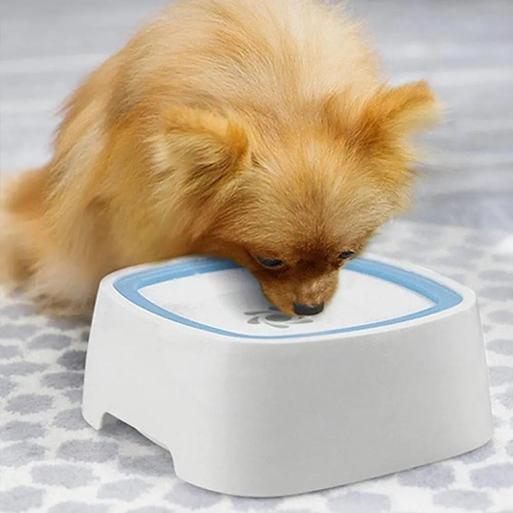 Premium No-Spill Pet Water Bowl with Slow Feeder Design for Dogs and Cats