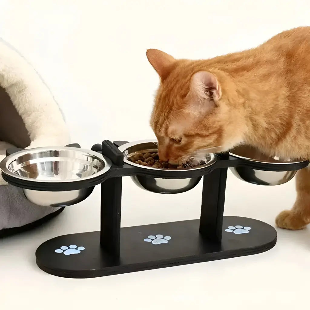 Elevated Pet Feeder with 15-Degree Tilted Bowls and Adjustable Height for Enhanced Feeding Comfort for Cats and Dogs